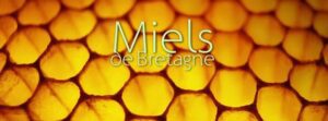 apiculture, abeilles et miels en Bretagne