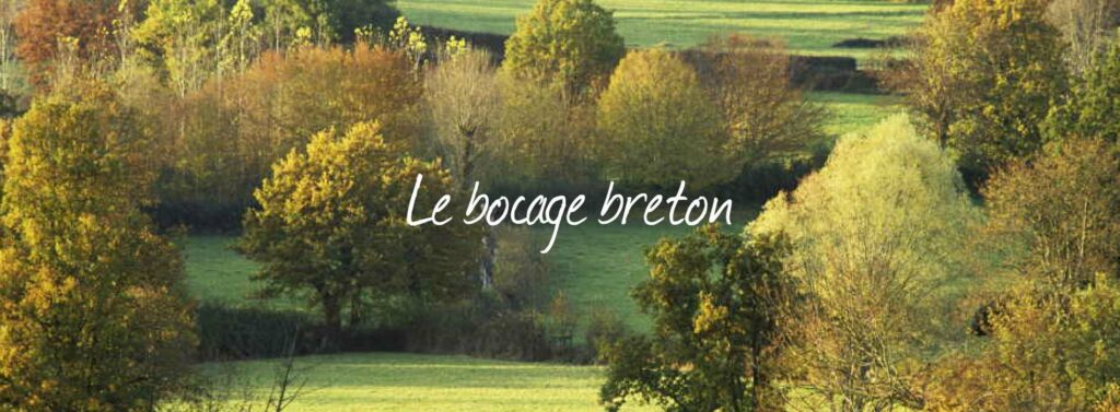 bocage