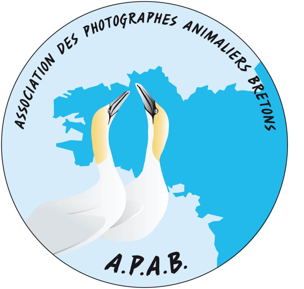 Sign Apab APAB Bretagne, auteur/autrice sur NHU | Votre Média Breton | Voir ses ...