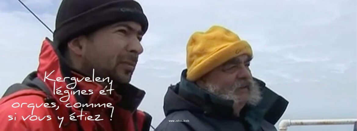 kerguelen