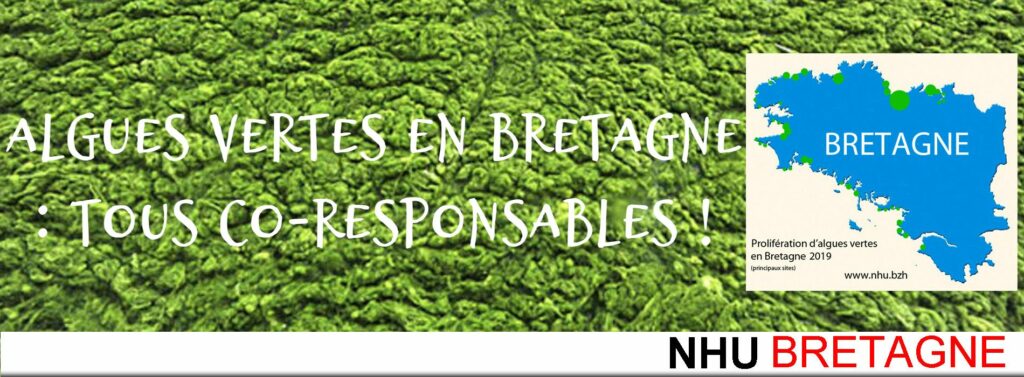 algues vertes en Bretagne