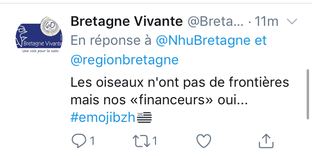 oiseaux