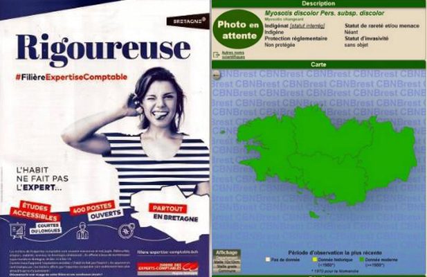 VigiBretagne/EvezhBreizh n°30