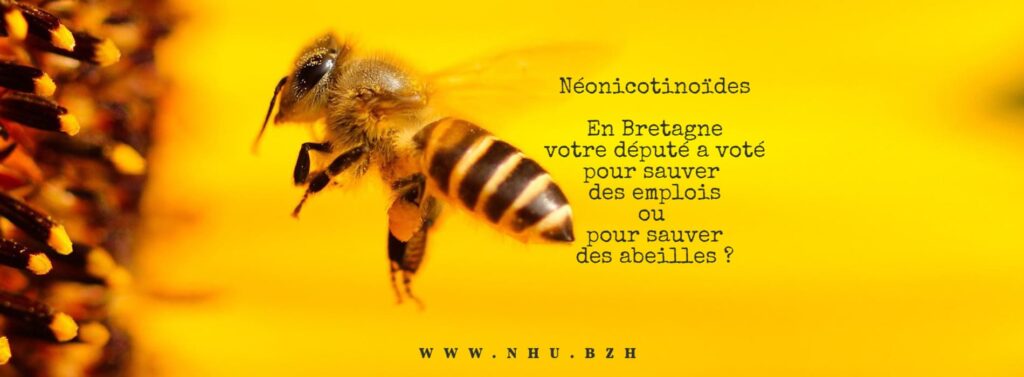 Néonicotinoïdes en Bretagne