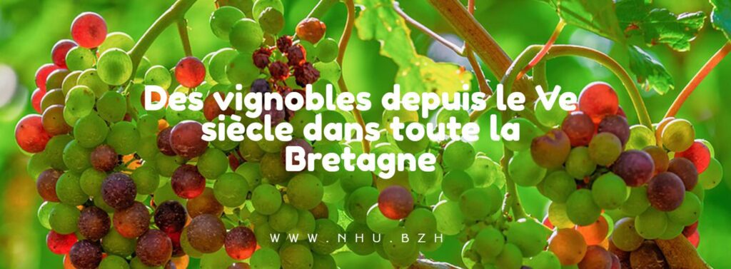 vins bretons