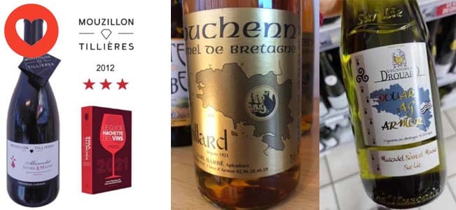 VigiBretagne/EvezhBreizh n°33