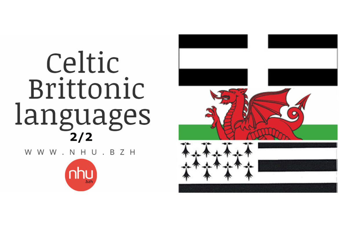 celtic brittonic languages