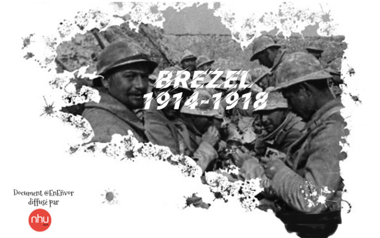 Novembre, mois de la mémoire