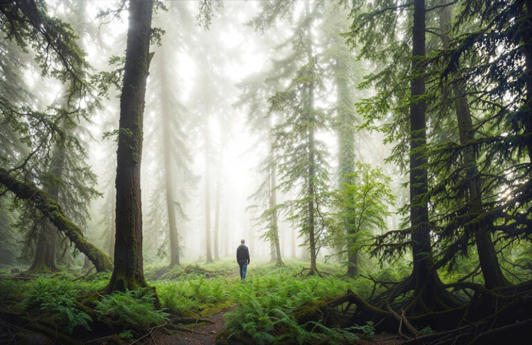samhain nouvel an celtique