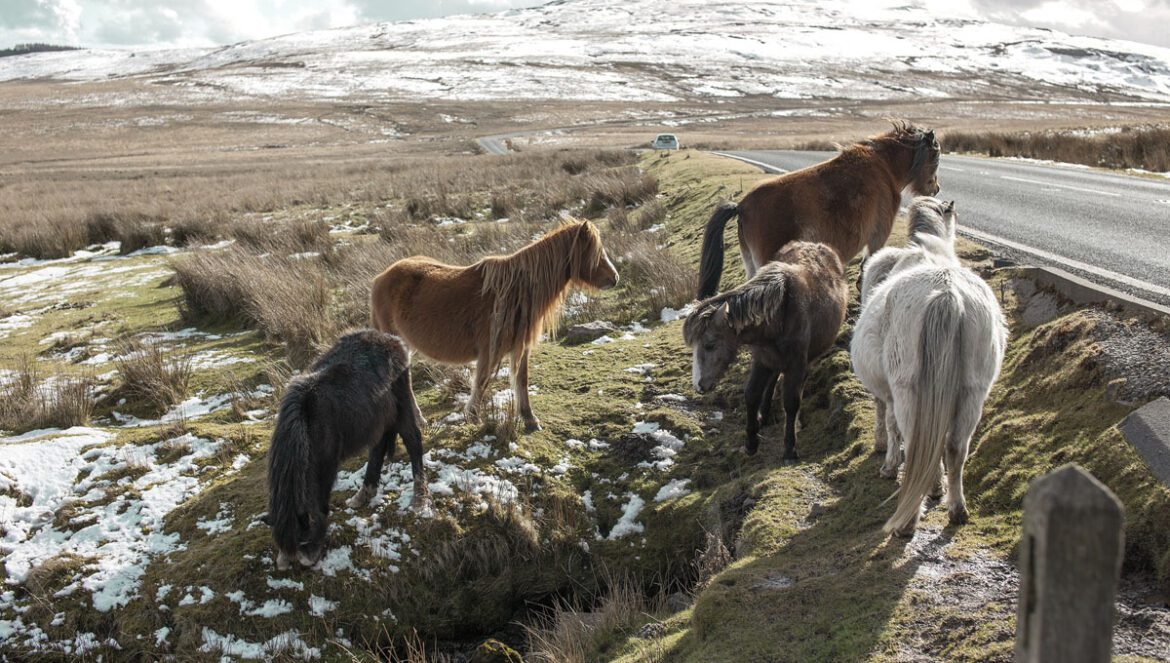 Brecon-beacons-bannau-brycheiniog