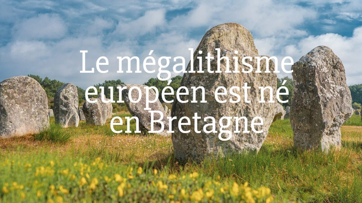 les menhirs de karnag