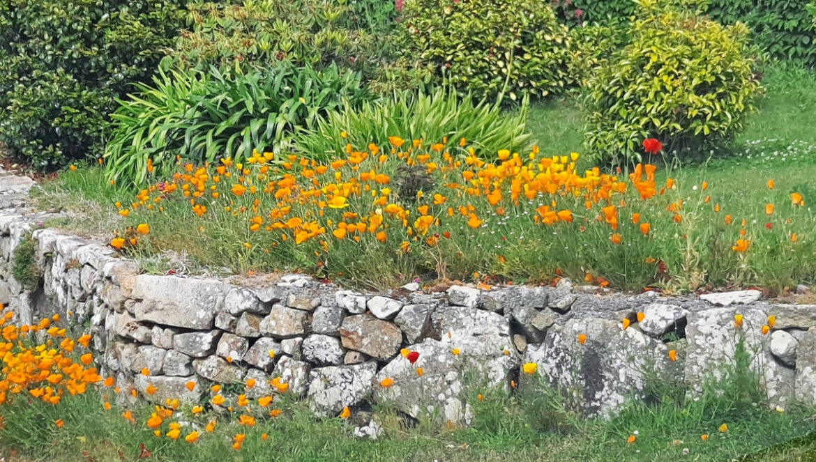 pierre sèche en Bretagne