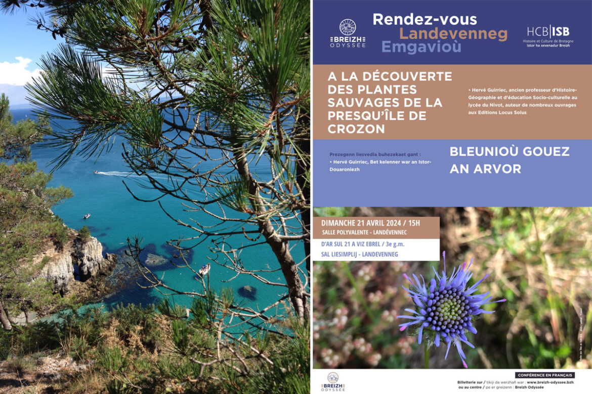 découverte des plantes sauvages