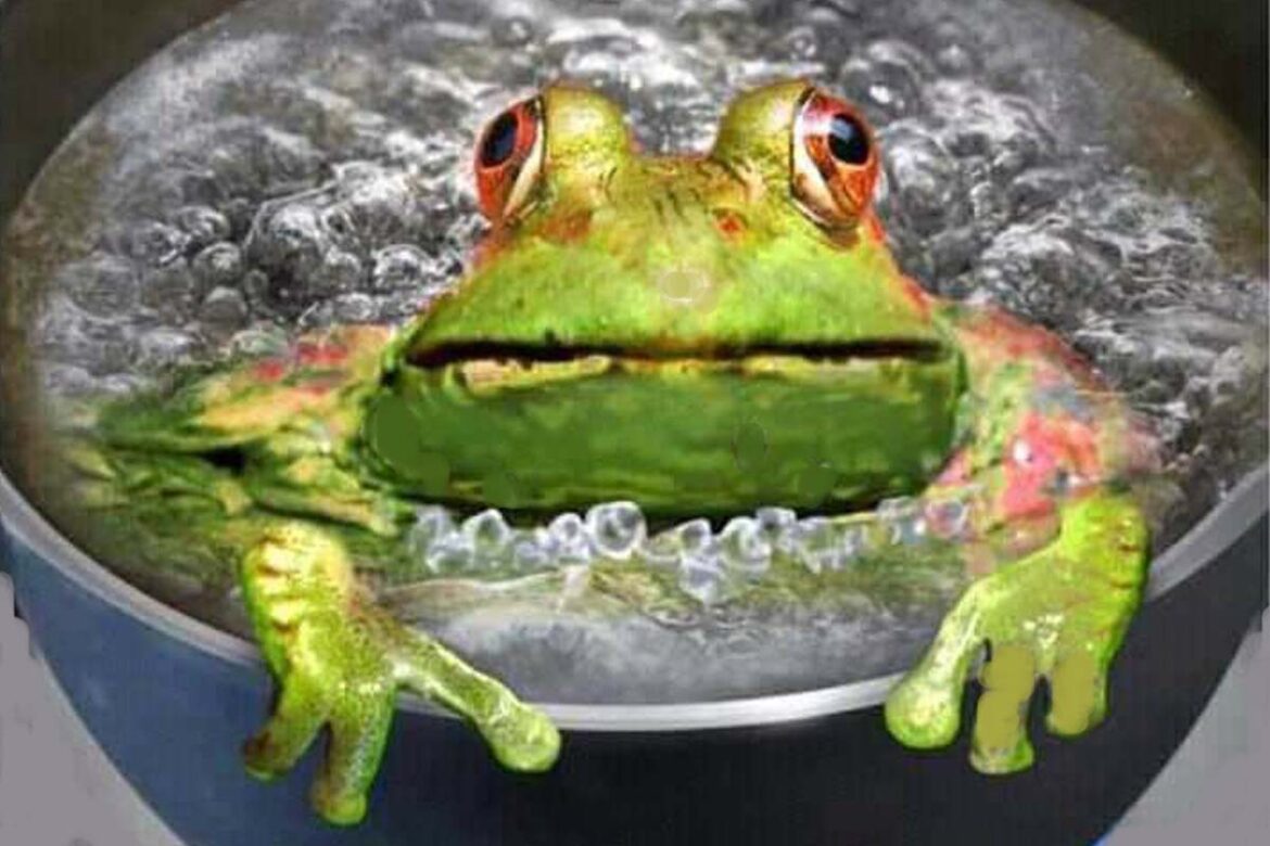 grenouille inconsciente