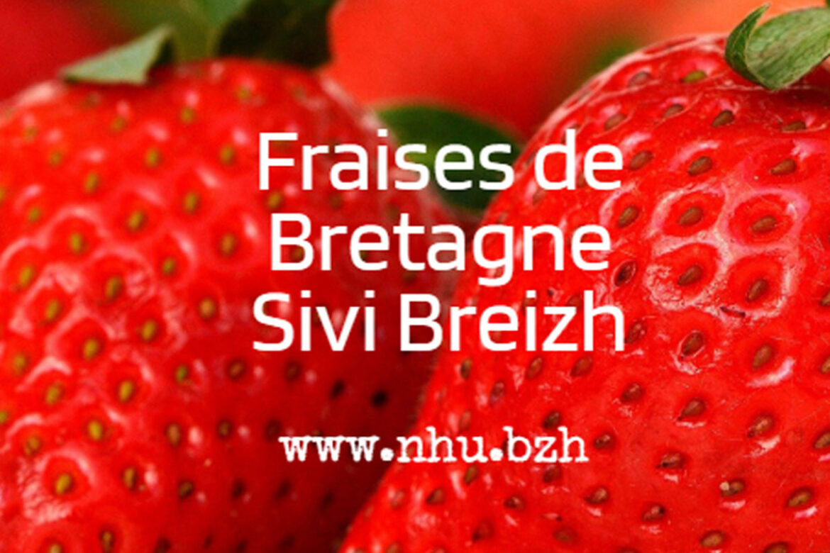 Fraise de Bretagne, fraise de Plougastell