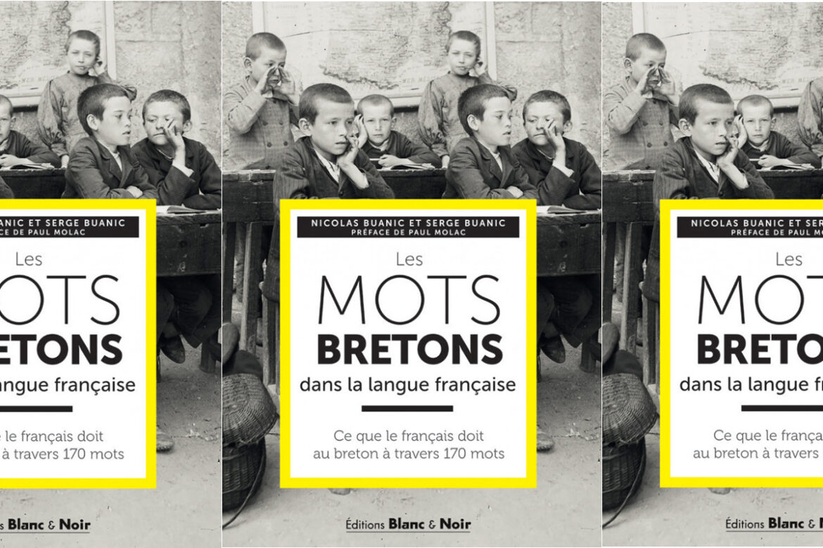 mots bretons dans la langue française
