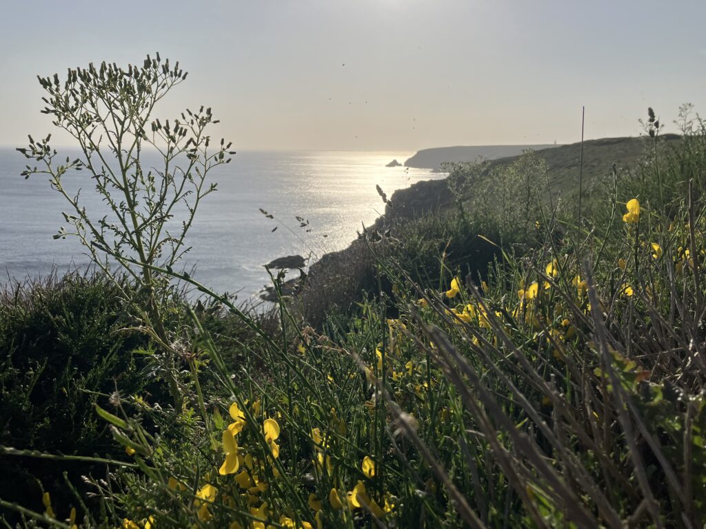 GR34 Bretagne sur côte sud du Cap Sizun avec Pointe du Raz / Bef ar Raz et Ile de Sein / Enez Sun en horizon