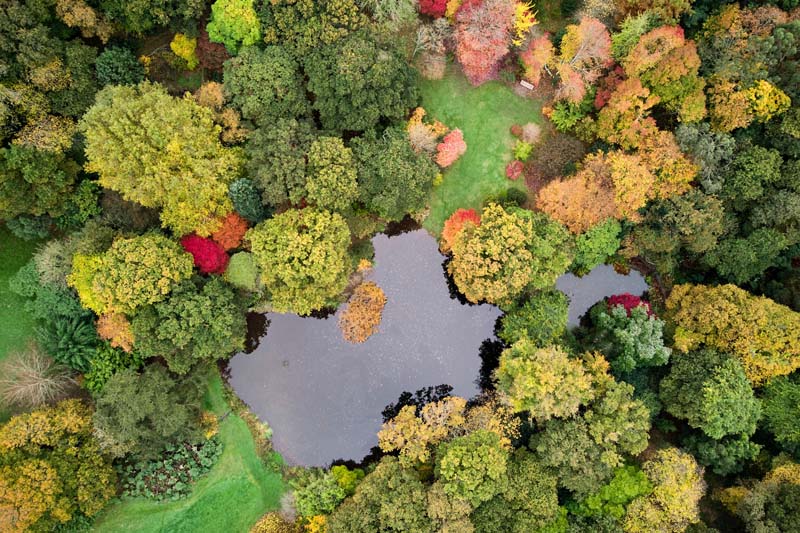 jardins de kerdalo Bretagne