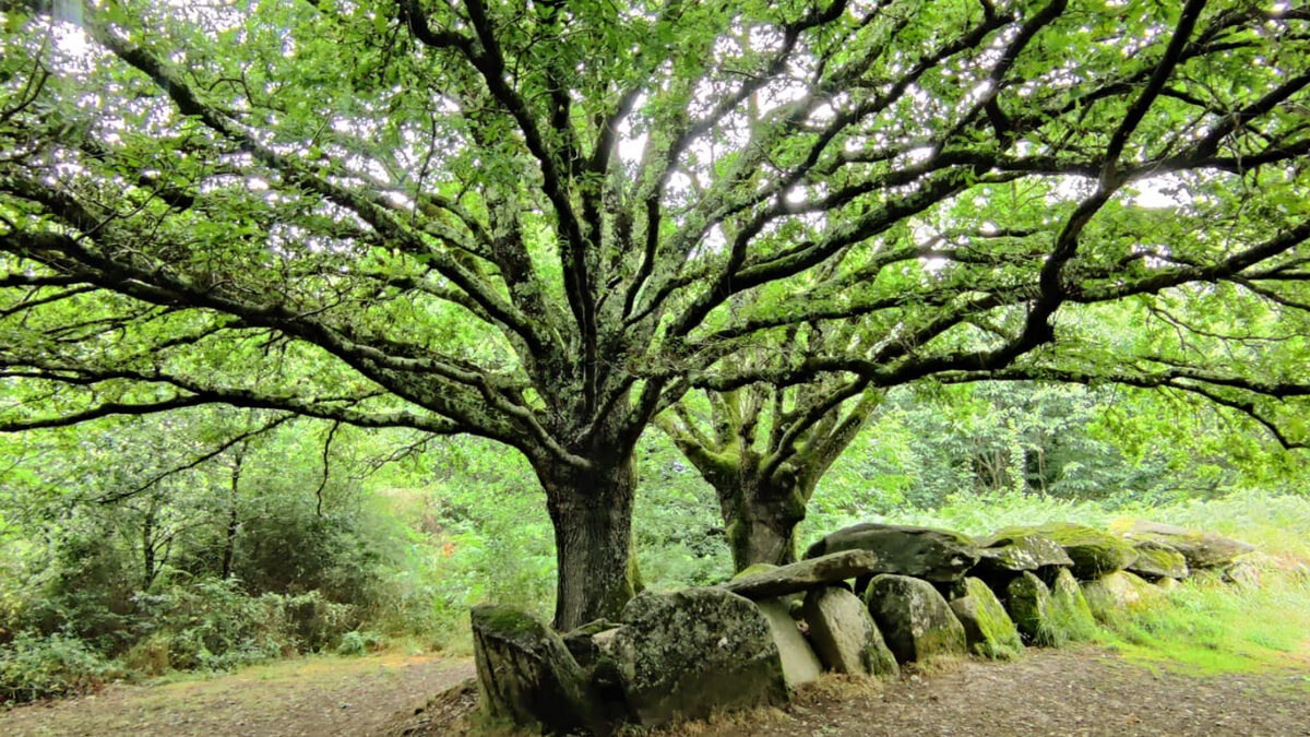 menhirs et dolmens, l'Armorique berceau des mégalithes européens