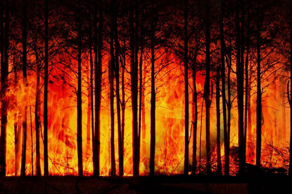 feux de forêts en Bretagne